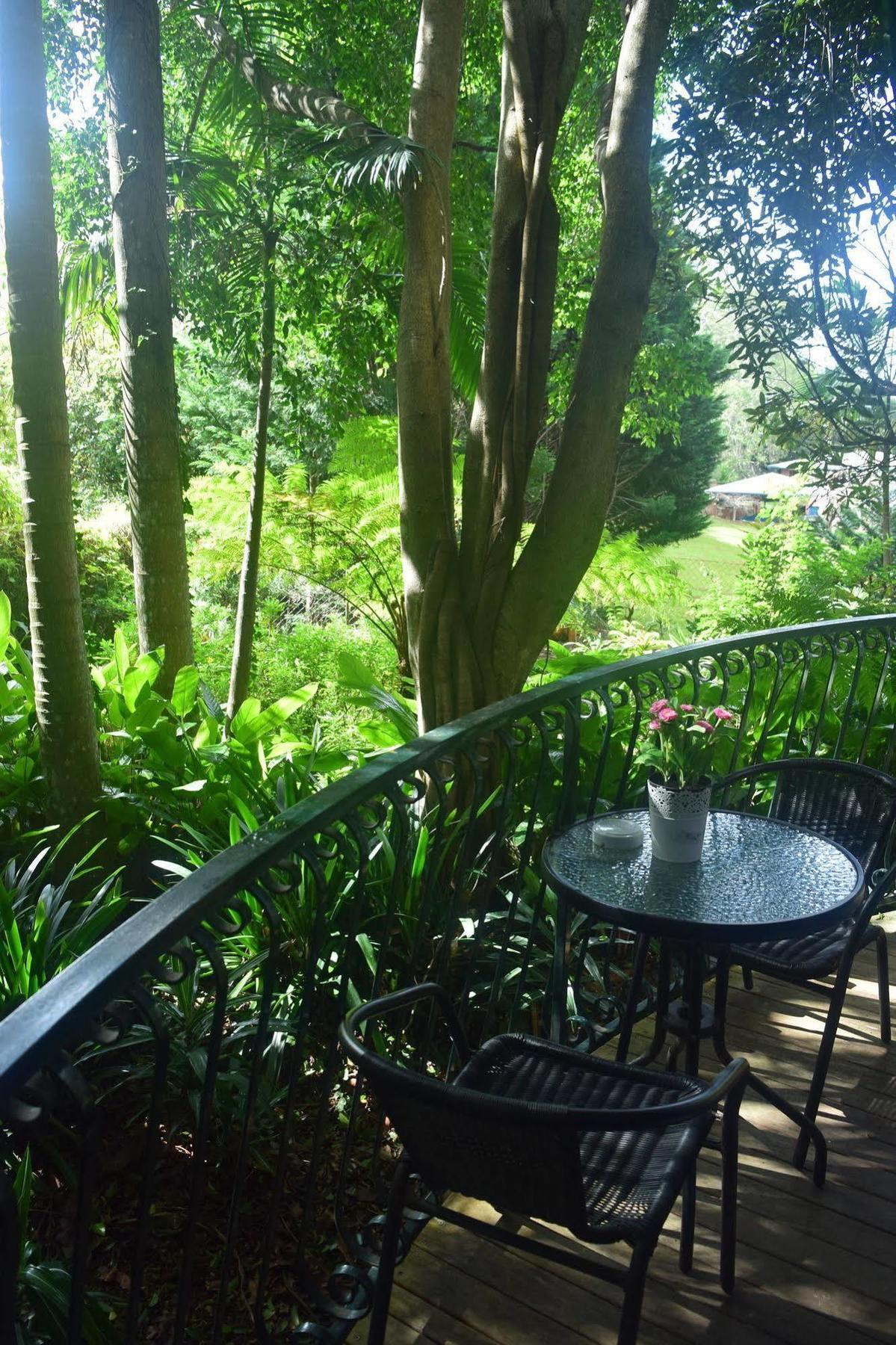 Chalet On Gallery Walk - King Bed, Spa, Fireplace, Wifi & Netflix, Linger A While جبل تامبورين المظهر الخارجي الصورة